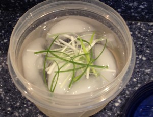 Thinly sliced scallions